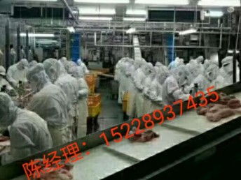 出国劳务 抓住国外雇主直招机遇，建筑工与工厂普工月薪高达3.5万，天津移民与建筑工程新选择