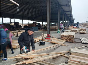 太仓建筑木方加工厂 建筑工程木材批发的首选基地